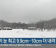 강원도, 밤사이 눈 최고 9.9cm..10cm 더 내려