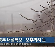 경북 북부 대설특보..오후까지 눈