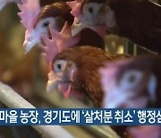 산안마을 농장, 경기도에 '살처분 취소' 행정심판 청구