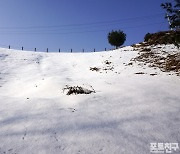 [포토친구] 양재동에서 만난 설경