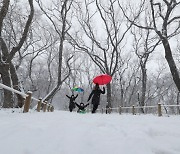 [포토뉴스] 함박눈이 내린 함양 상림공원 