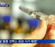 2월부터 백신 접종 예약..셀트리온 치료제 조건부 허가 권고