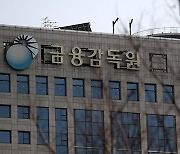 Korean financial regulator finds Kospi overheated if it hits 3300