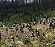 고성군, 1005㏊ 규모 숲가꾸기..22억6천만원 투입