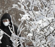 상고대 핀 제주 한라산 1100고지