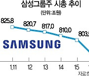 삼성그룹주 시총 28조 증발 '개미 곡소리'..코스피 3,000선 위태