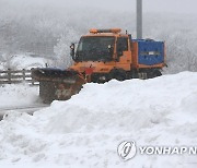 제주 산지에 5cm 눈 내리고 도로 결빙.."교통안전 주의"