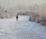 봉화 석포 11cm 눈..경북 일부 시·군 대설주의보
