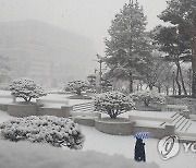 눈 쌓인 대전시청 남문 광장