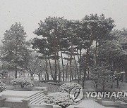 눈 쌓인 대전시청 남문 광장