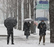 서울에 눈 펑펑