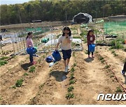 '경기도형 아동돌봄공동체 사업' 참여자 만족도 84.6%