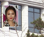 배우 박시연, 대낮 음주운전 사고.."면허 취소 수준"