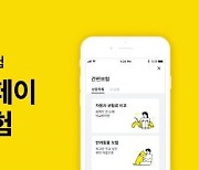 '보험업 출사표' 카카오페이, 독자 노선 언제까지?