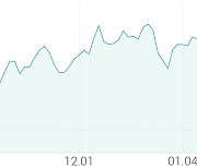 [강세 토픽] CMO·원료의약품 테마, 한국파마 +30.00%, SK케미칼 +4.52%