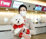 "반려동물과 함께 타세요"..티웨이항공, 2월부터 반려동물 맞춤형 서비스