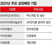 "웬만하면 다 대박" 기관도 공모주 '묻지마 투자'