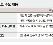 고액 신용대출도 '원금 분할상환'.. 집값·대출 급등에 강력 처방 [금융위 업무보고]