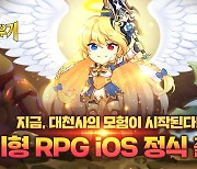 모바일 RPG '대천사 키우기' 해외 서비스 진행