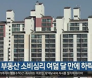 대구 부동산 소비심리 여덟 달 만에 하락