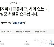 '사지마비' 교통사고 엄중처벌 국민청원에 靑 "칼치기 단속강화"