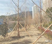부산시, 도시바람길숲 1단계 완공..내년까지 22곳에  40km 조성