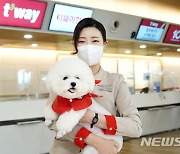 "반려동물과 여행을" 티웨이항공, 2월부터 t'pet 서비스 실시