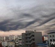 증평 팰릿공장 불, 열처리과정에서 발화 추정(종합2보)