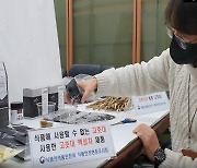 "고춧대로 코로나19 치료 효과" 허위광고 한의사 적발