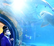 "도심 속에 상어가.." 수원 광교 '2천톤급 수족관' 오픈