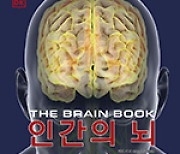 [새로 나온 책] 인간의 뇌-뇌의 구조와 기능, 뇌질환에 관한 백과사전 외