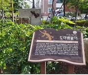 부산 초등학교 스쿨존 5곳에 미세먼지 막는 숲 조성