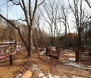 서울 구로구, 능골산 유아숲체험원 3월 개장