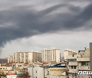 검은 연기 하늘 뒤덮은 증평 팔레트 공장 화재 겨우 진화