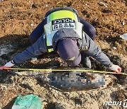 중국발 괭생이모자반 쌓인 제주해안서 상괭이 사체 2구 발견