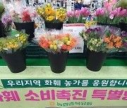 충북농협 하나로마트 특별매장 운영 등 꽃 소비촉진 나서