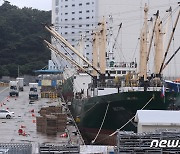 부산 감천항 공유수면 무단매립지 원상복구에 16년 걸렸다