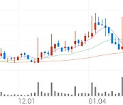 조광피혁, +12.65% 상승폭 확대