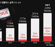 한국서만 5000억 번 넷플릭스.."세금 제대로 내고 있나?"