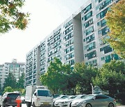 [단독]강남 공공재건축 아파트 40층까지 허용