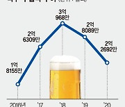 수입맥주 열기 식었다.. 국산 수제맥주 소비는 늘어