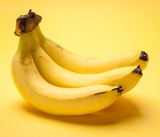 바나나 먹고 방사능 피폭돼 죽을 수 있을까?