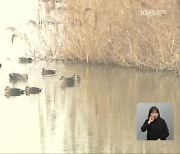 충북 고병원성 AI 잇따라..대형 산란계 농장까지