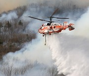 경북도, 건조·강풍으로 산불 급증..1월에만 13건 발생