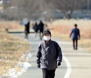 '따뜻한 대한에 산책 나선 시민들'