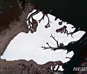 [뉴시스 앵글]신안 갯벌에 눈이 만든 한 폭의 수묵화 '장관'