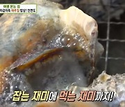 '생방송투데이' 부산 방어회(웨이브레스토랑)+산해횟집+아이스숯불·철판닭갈비(춘천명종닭갈비) 맛집