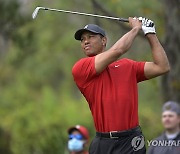 '골프 황제' 우즈, 다섯 번째 허리 수술..2월까지 대회 불참