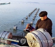 '재해보험료 확대·수산물 택배비 지원'..어업 지원제도 개선