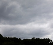 [오늘의 날씨]인천(21일, 목)..오후부터 흐리고 비, 최대 20mm